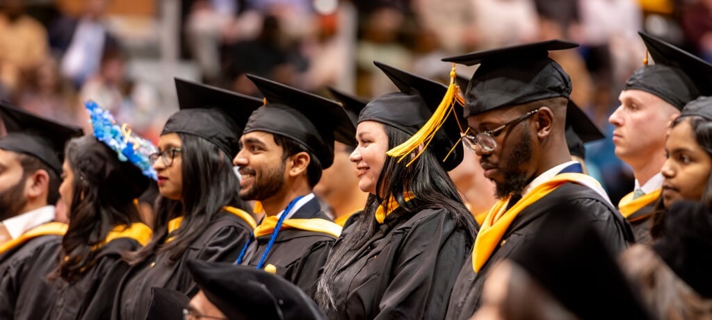 Students working in a lab
