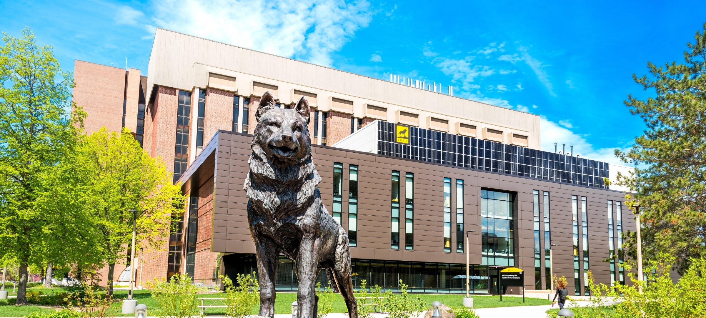 Husky Statue