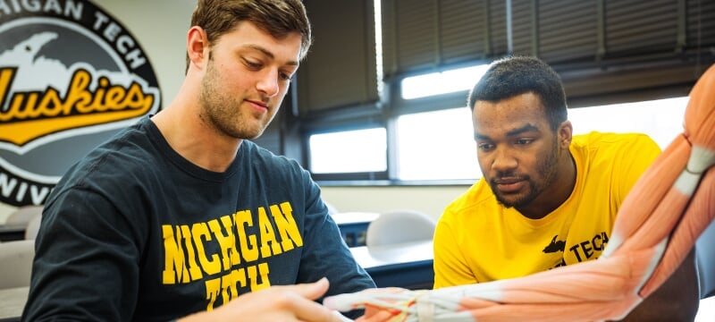 Two students looking at an anatomical model of an arm
