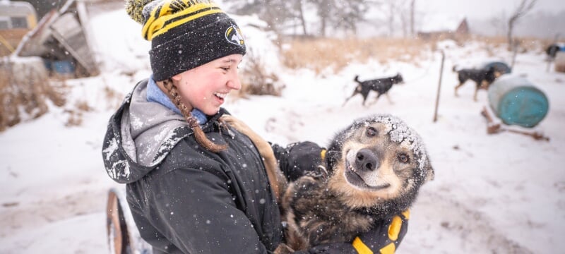 Student in the Mushing Club petting a husky