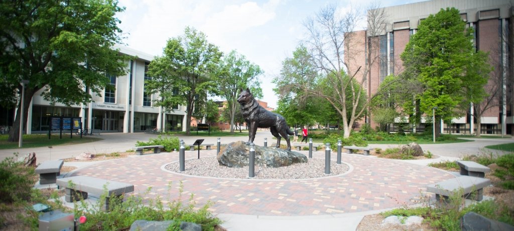 The Michigan Tech husky statue in the spring