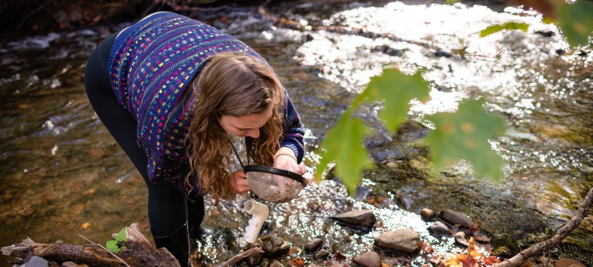 Biological Sciences—BS | Biological Sciences | Michigan Tech