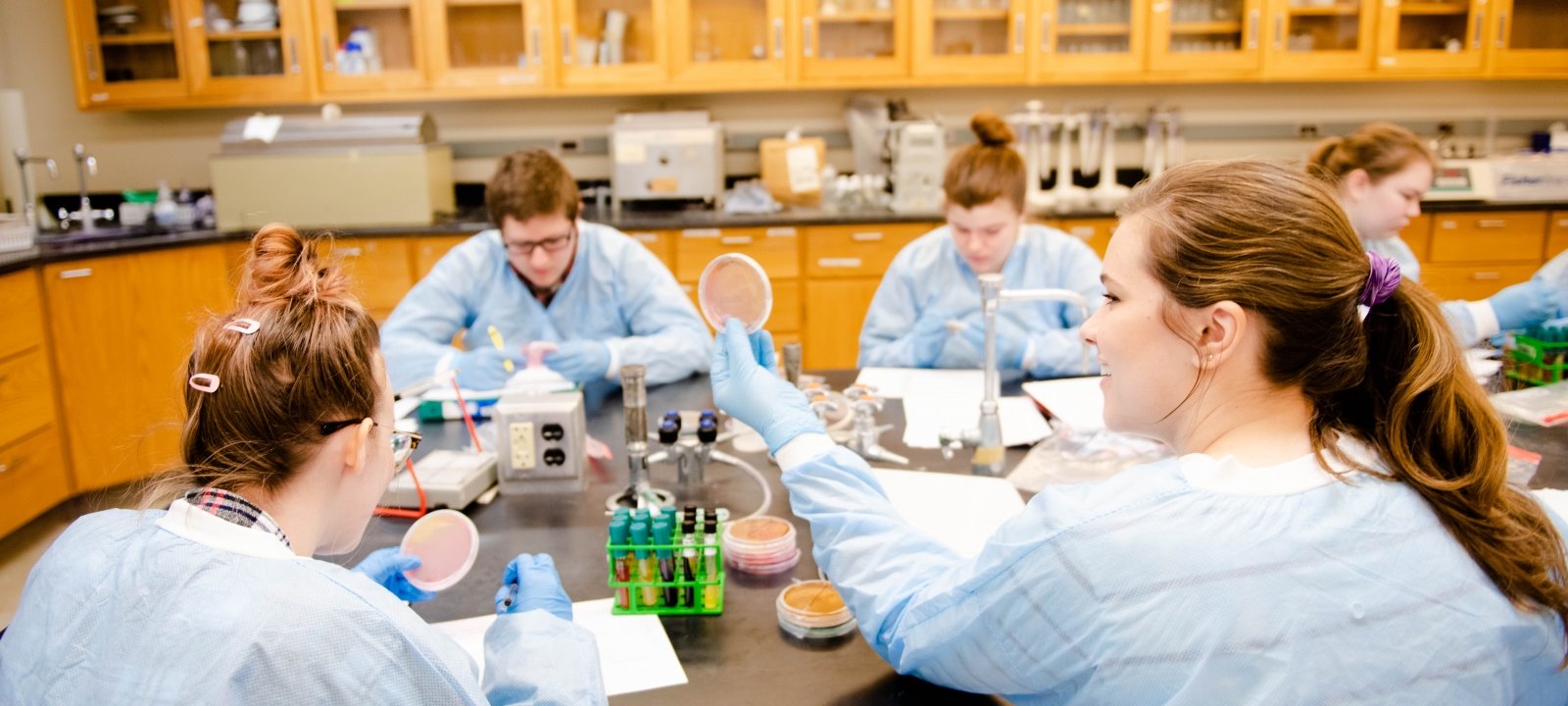 Undergraduate Experience | Biological Sciences | Michigan Tech