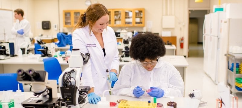 Medical Laboratory Science—BS | Biological Sciences | Michigan Tech