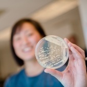 A researcher holding up a petri dish with an organism growing inside