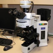 Olympus BX51