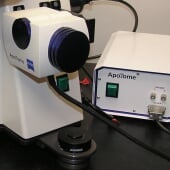 Zeiss ApoTome
