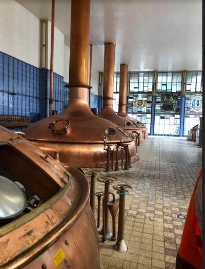 Copper kettles at Beck's Brewery