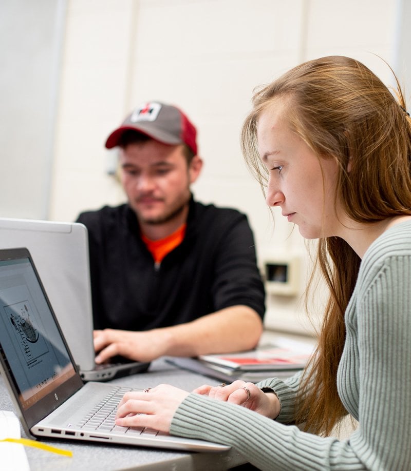 Two students accessing the portal on laptops.