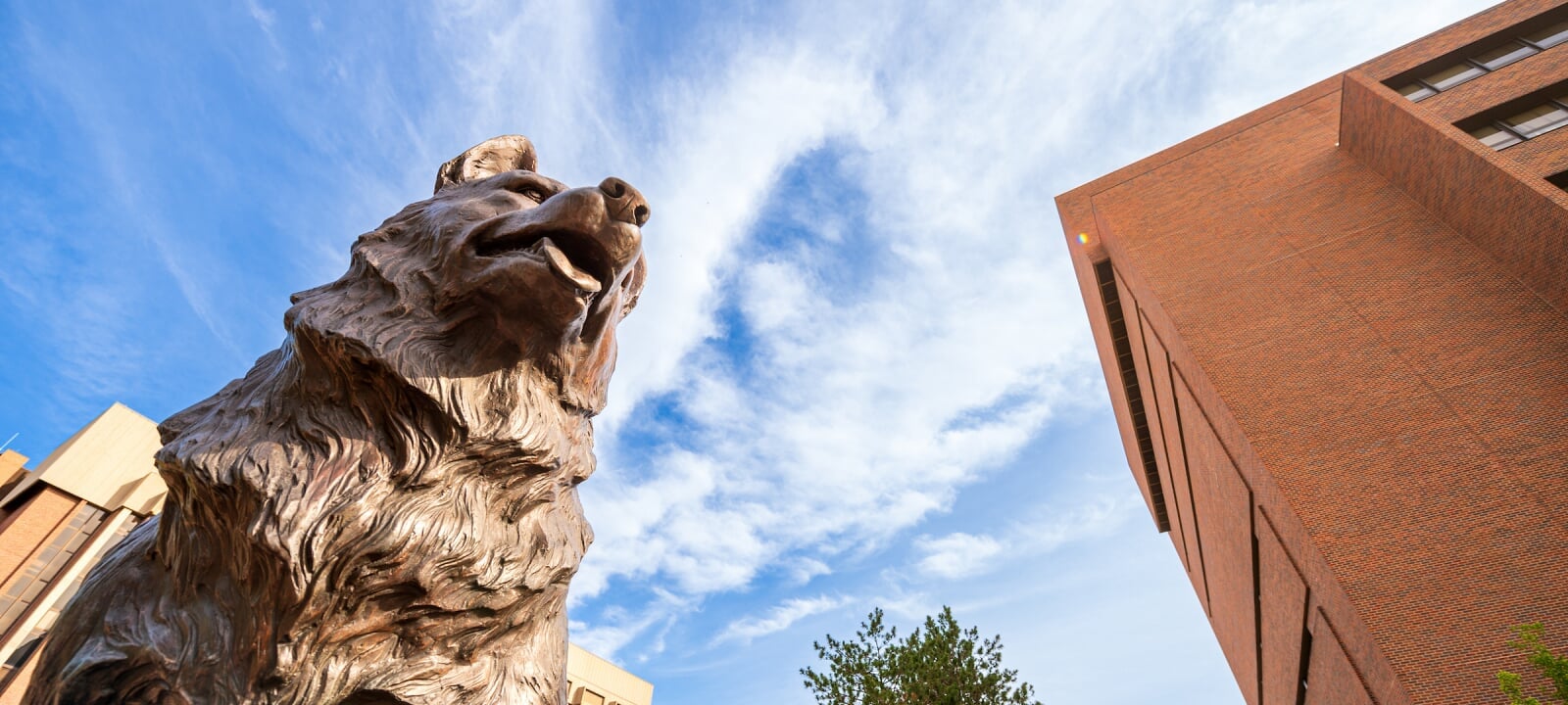 Bronze husky statue and the sky with clouds.