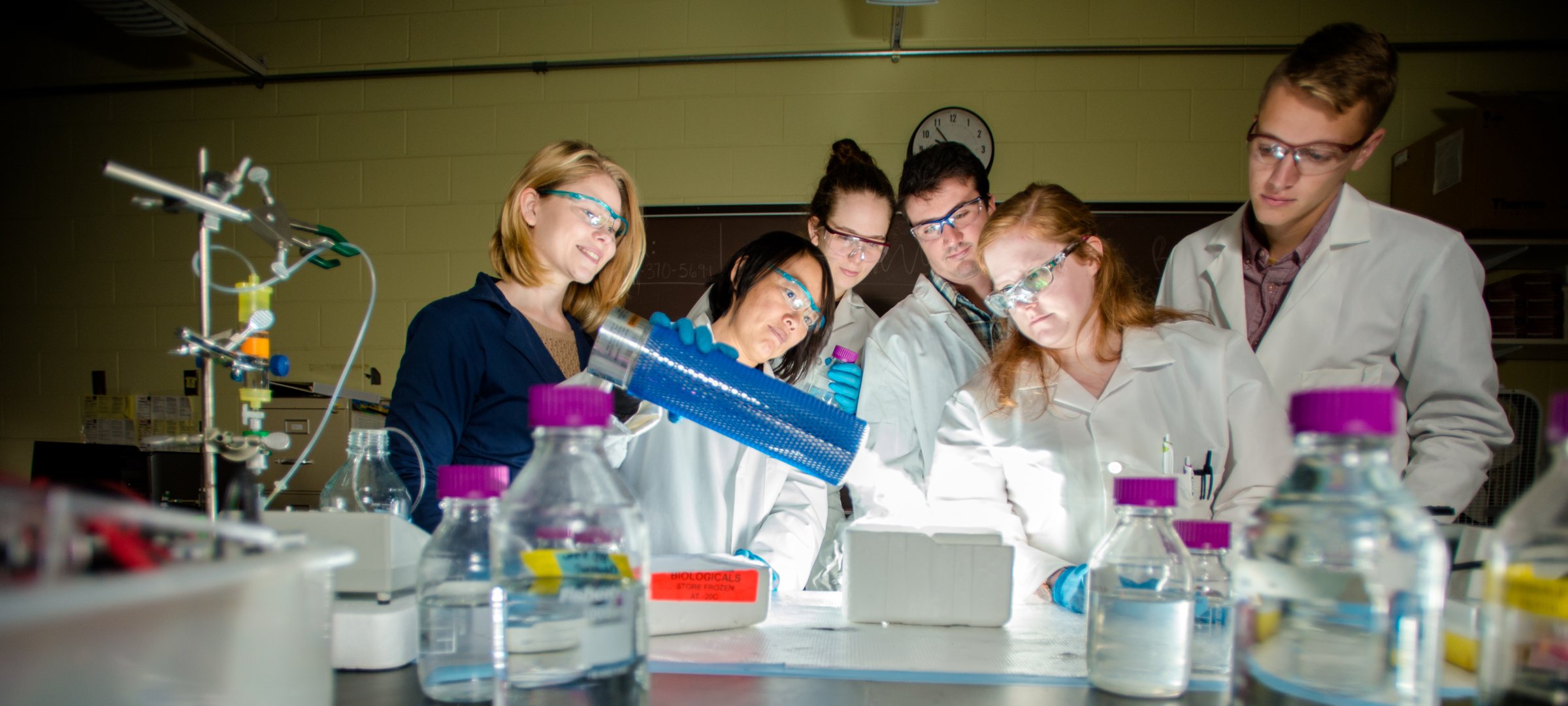 Students gathered around an experiment done in lab