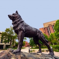 Husky Statue