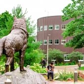 Michigan Tech Husky and Rekhi Hall