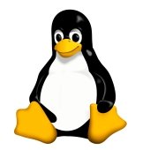 Linux logo