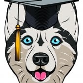 Husky Graduate Cap