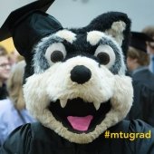 Husky in Grad Cap