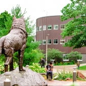 Husky Statue and Rekhi Hall.