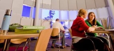 Computer science students in the Rekhi Hall lounge