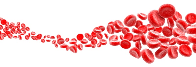 Abstract photo of blood cells.