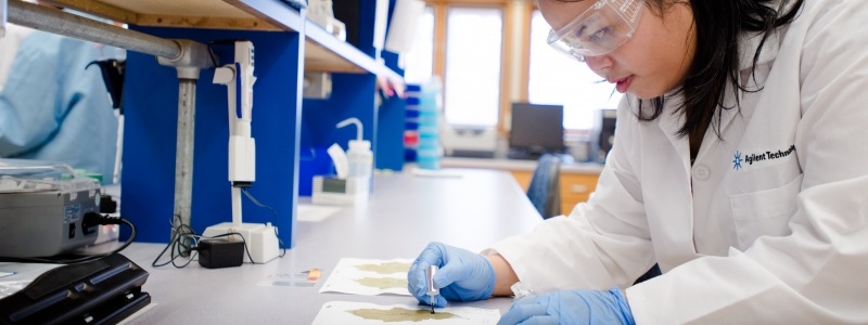 Scientist conducting an experiment while using proper safety equipment.