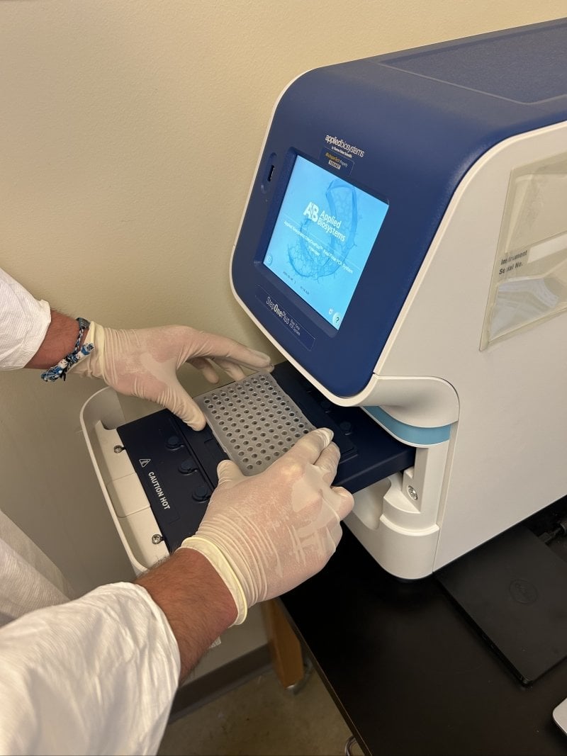 Development of a qPCR Assay Project Photo