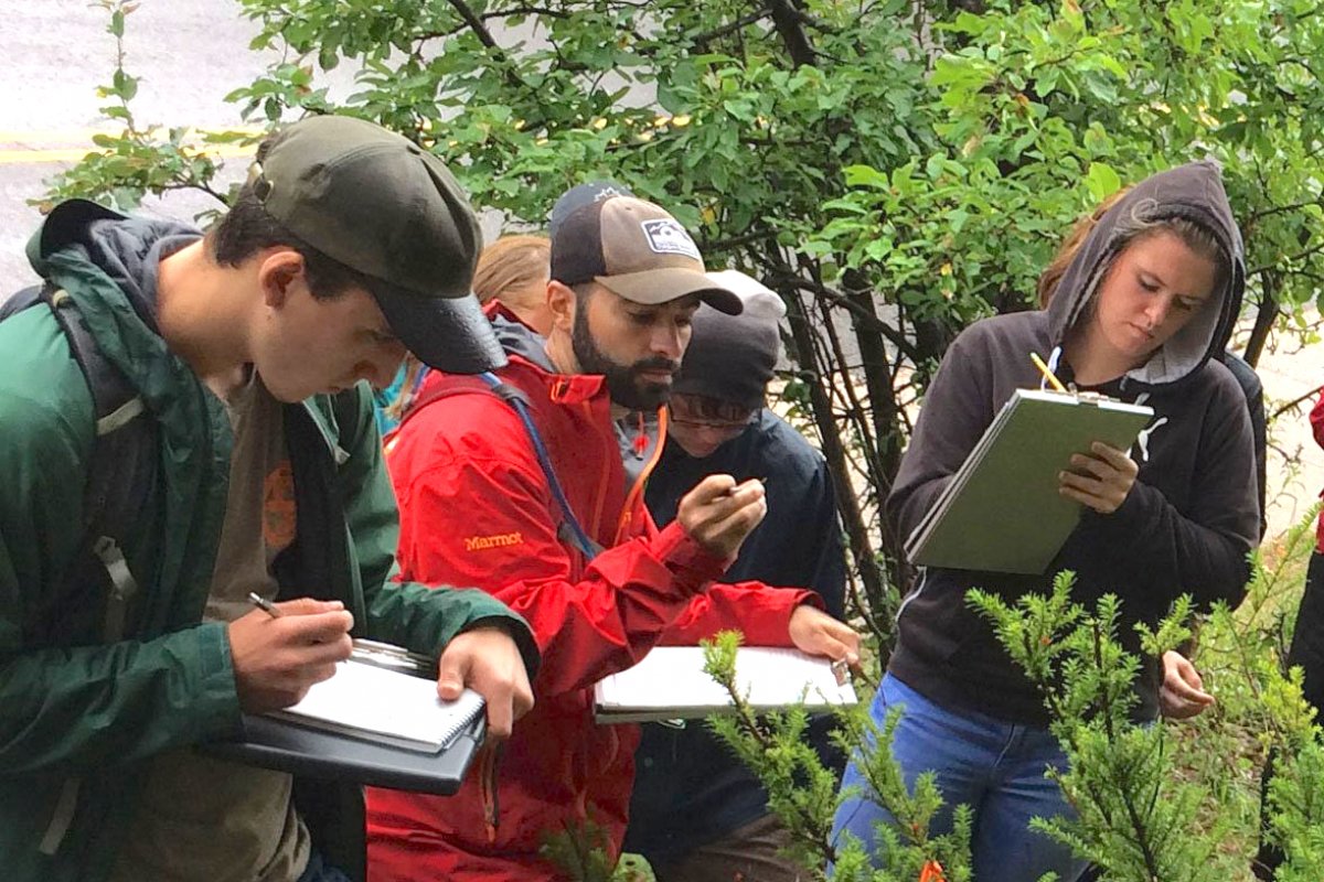 Students taking notes outside.