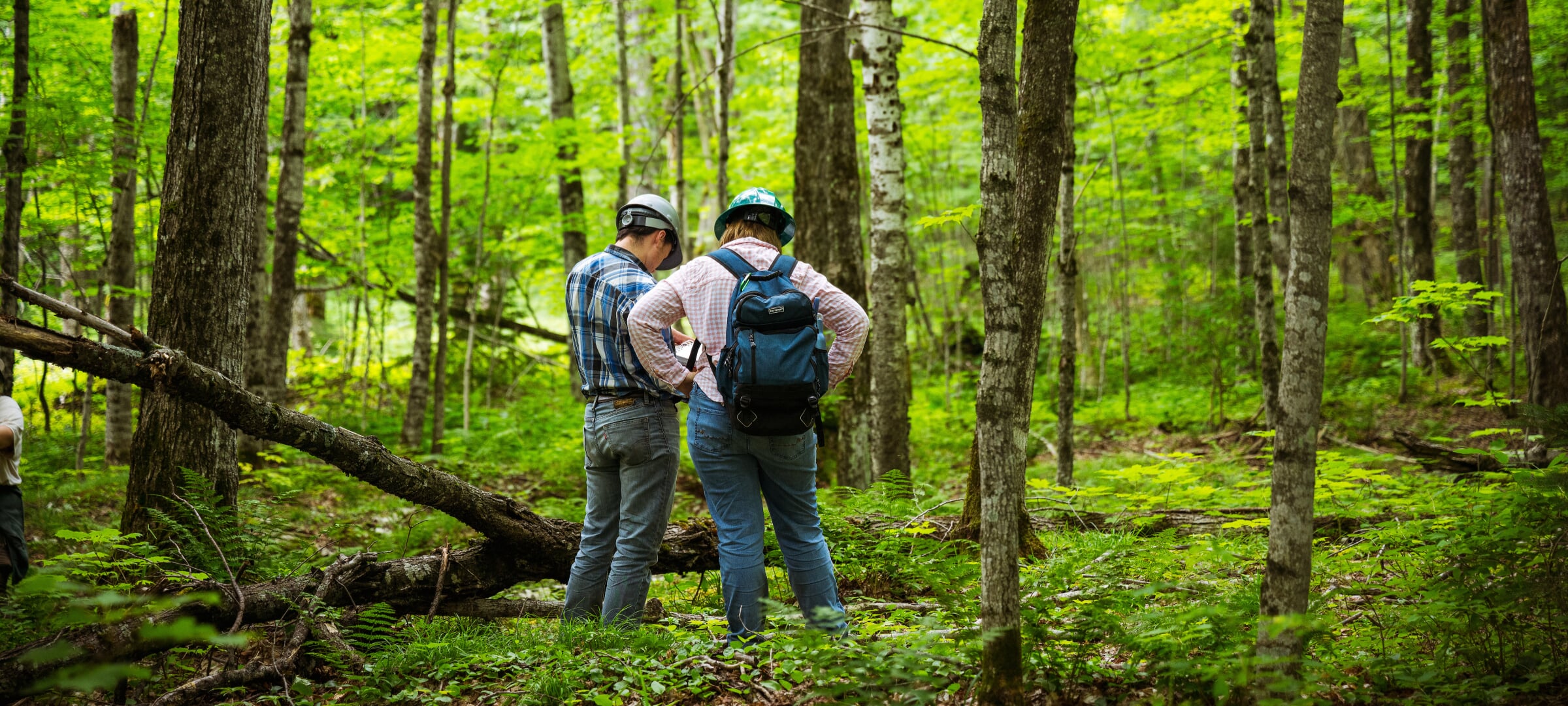 Two students in a vibrant green forest