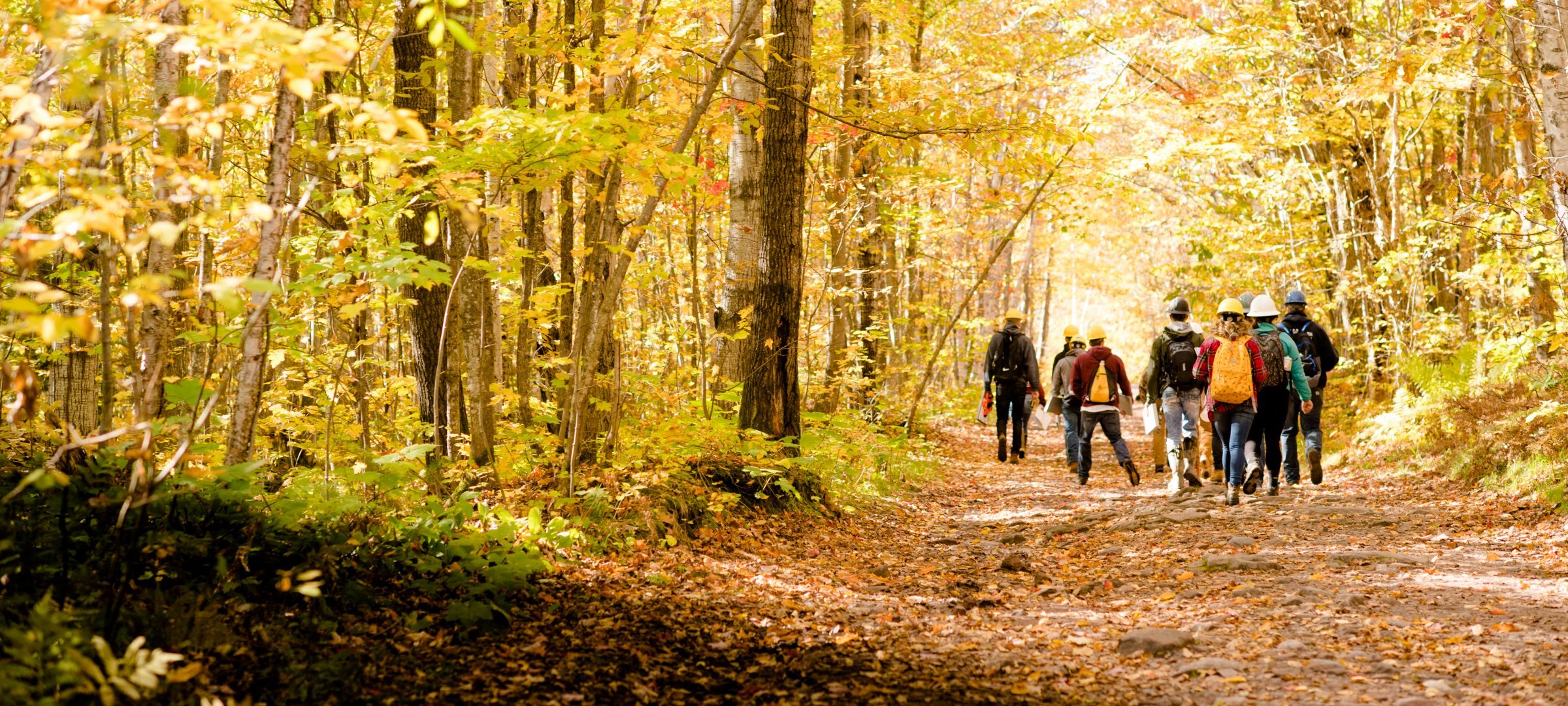 Michigan Tech College of Forest Resources and Environmental Sciences students in an outdoor field lab surrounded by trees in the fall.