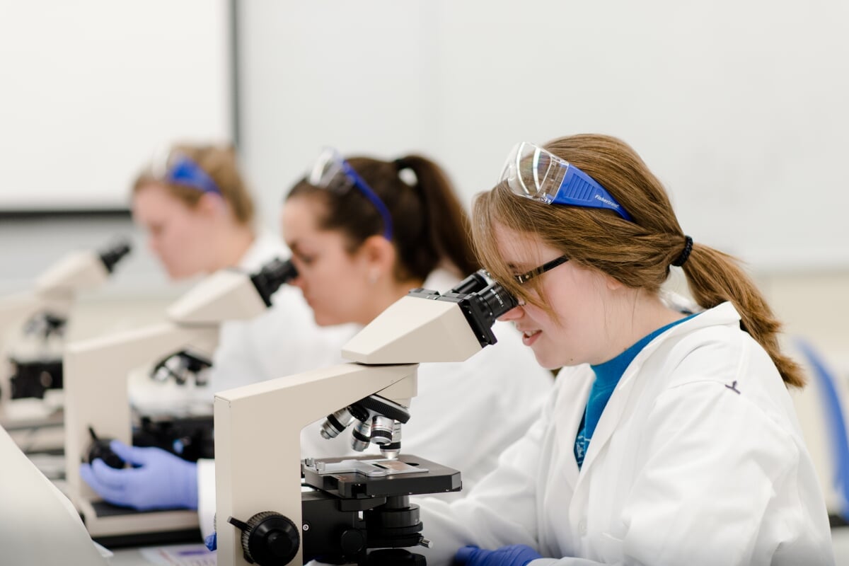 Students looking at a microscope in a row