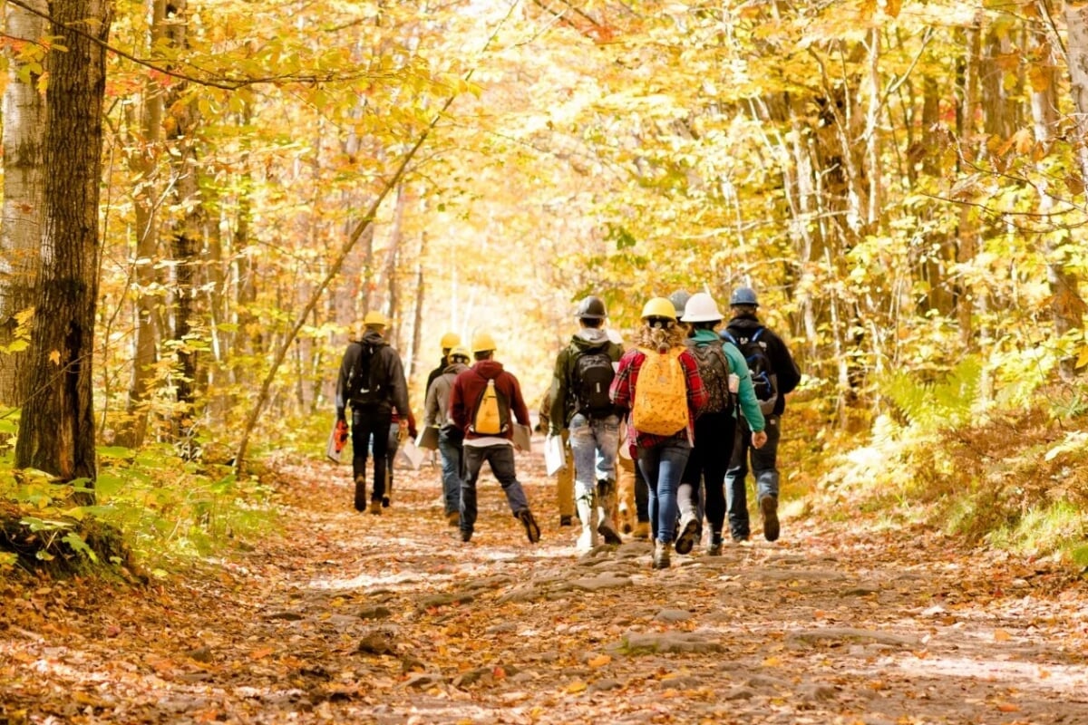 a group of students walking in a forest during the fall