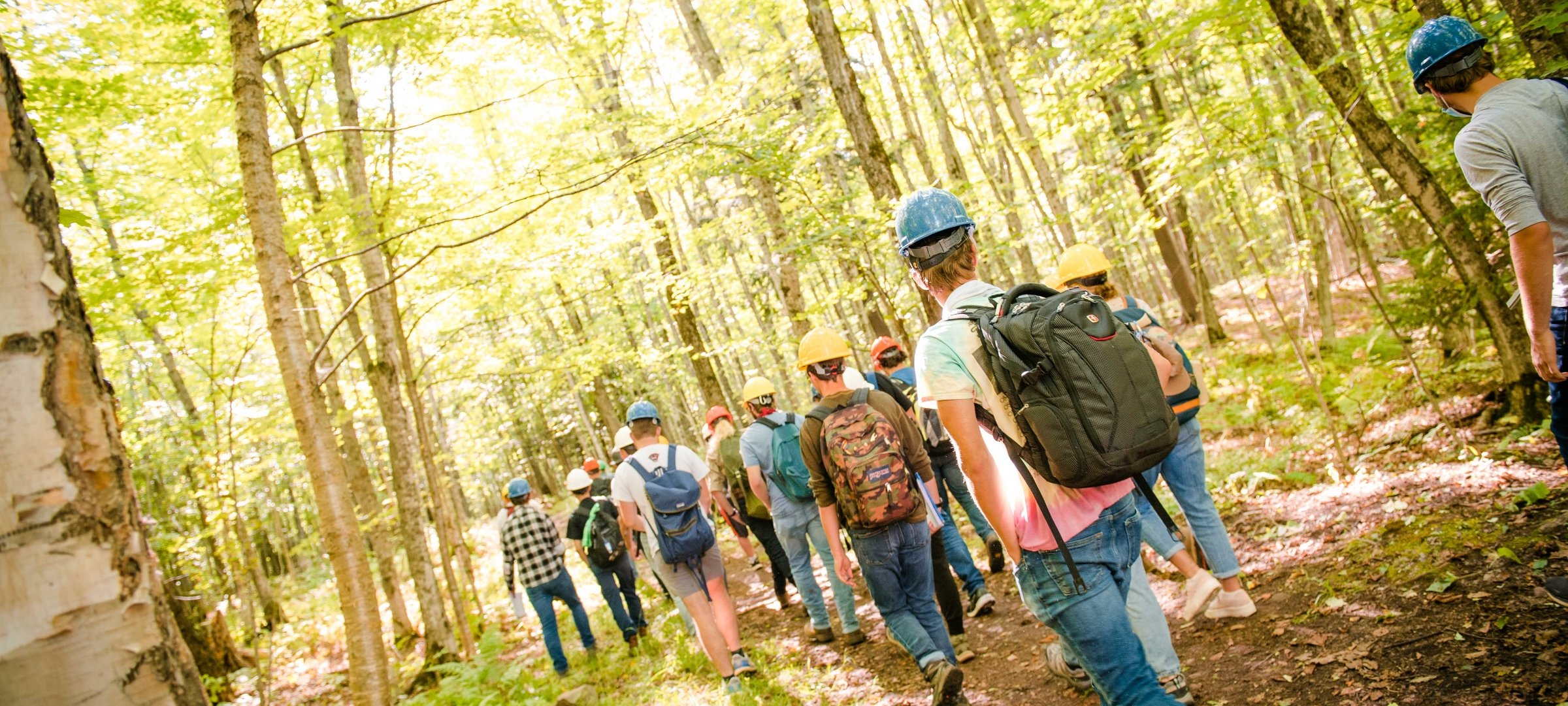 Natural Resources Management CFRES Michigan Tech