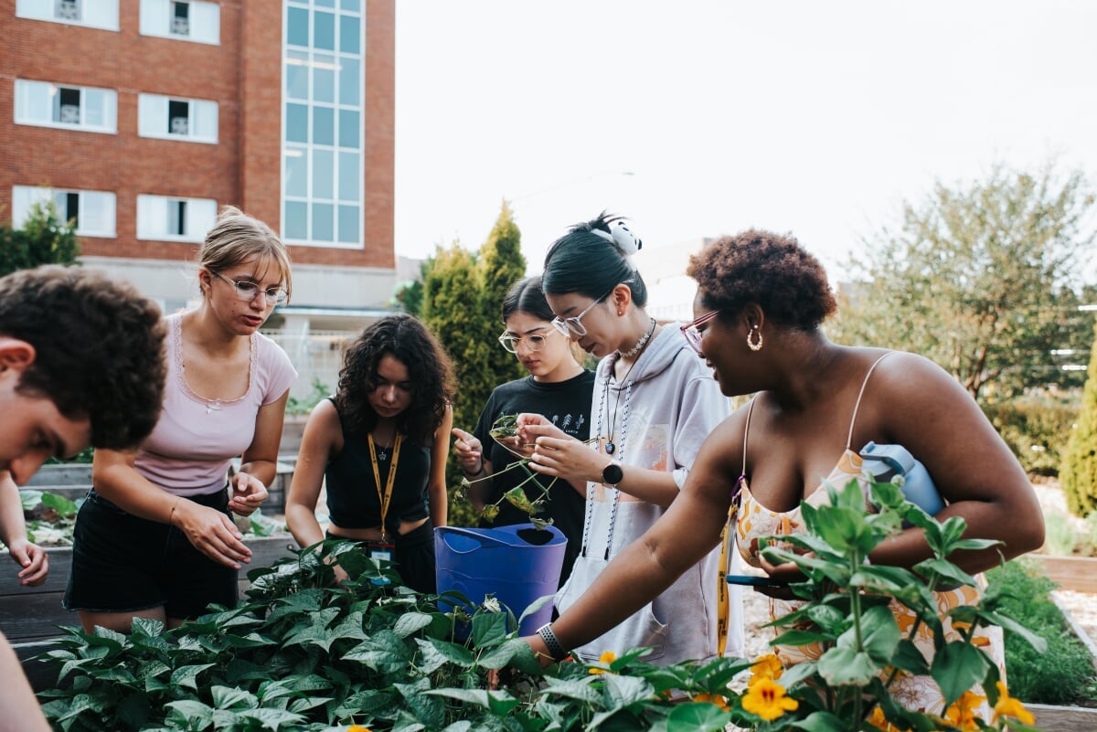 International students around the campus garden.