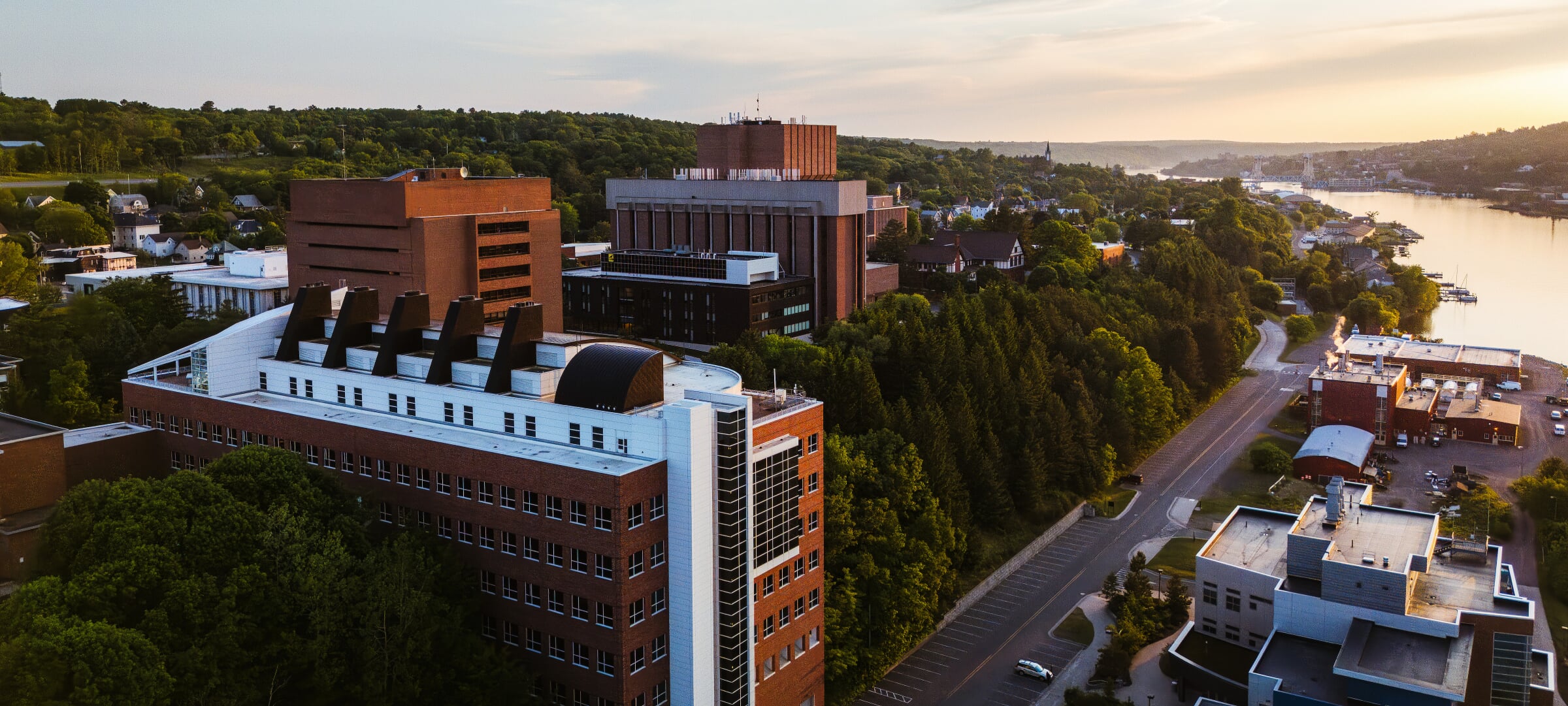 The Dow Environmental Sciences