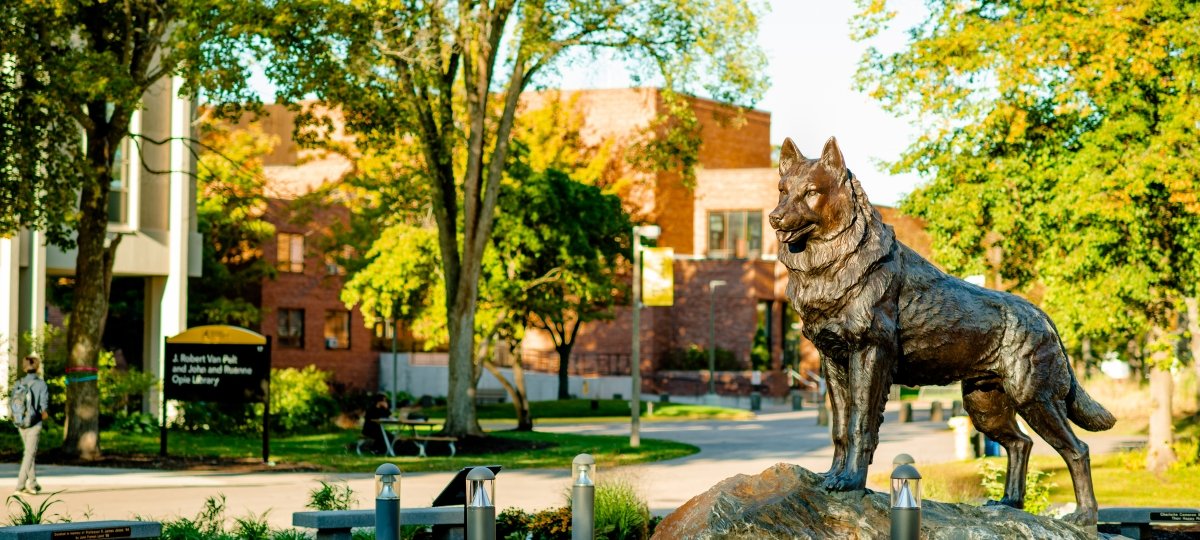 Blizzard the husky in the campus mall.