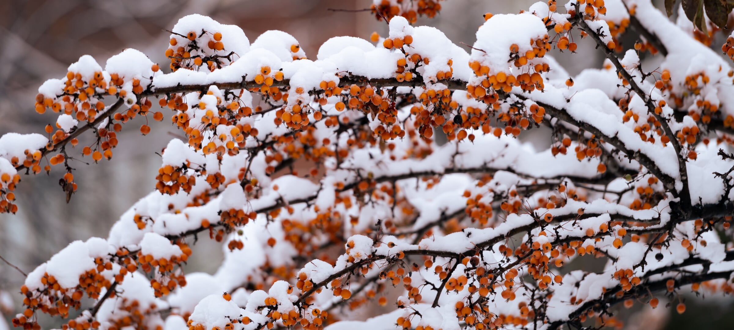 Graduate student working on research