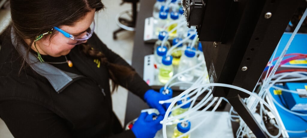 Graduate student working in a lab