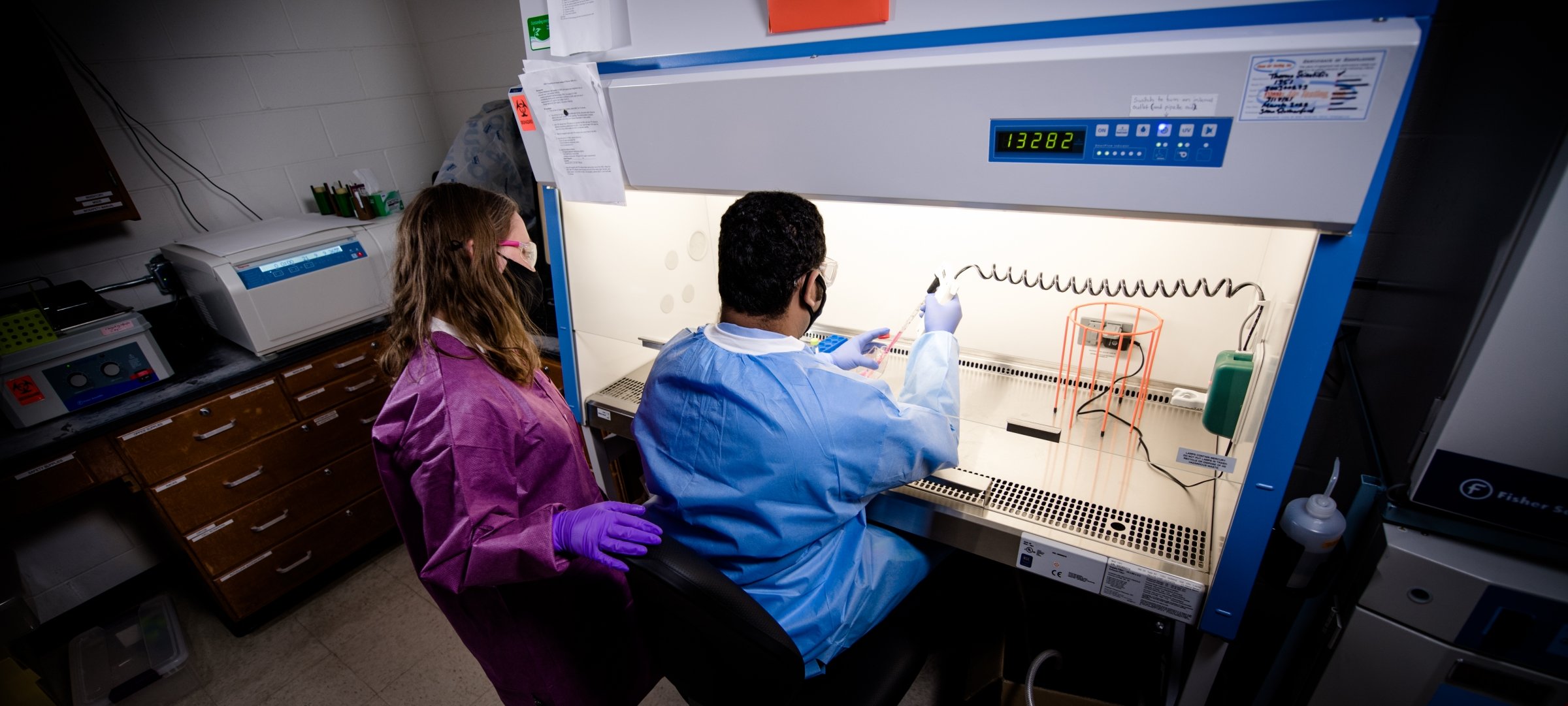 Students working in a lab