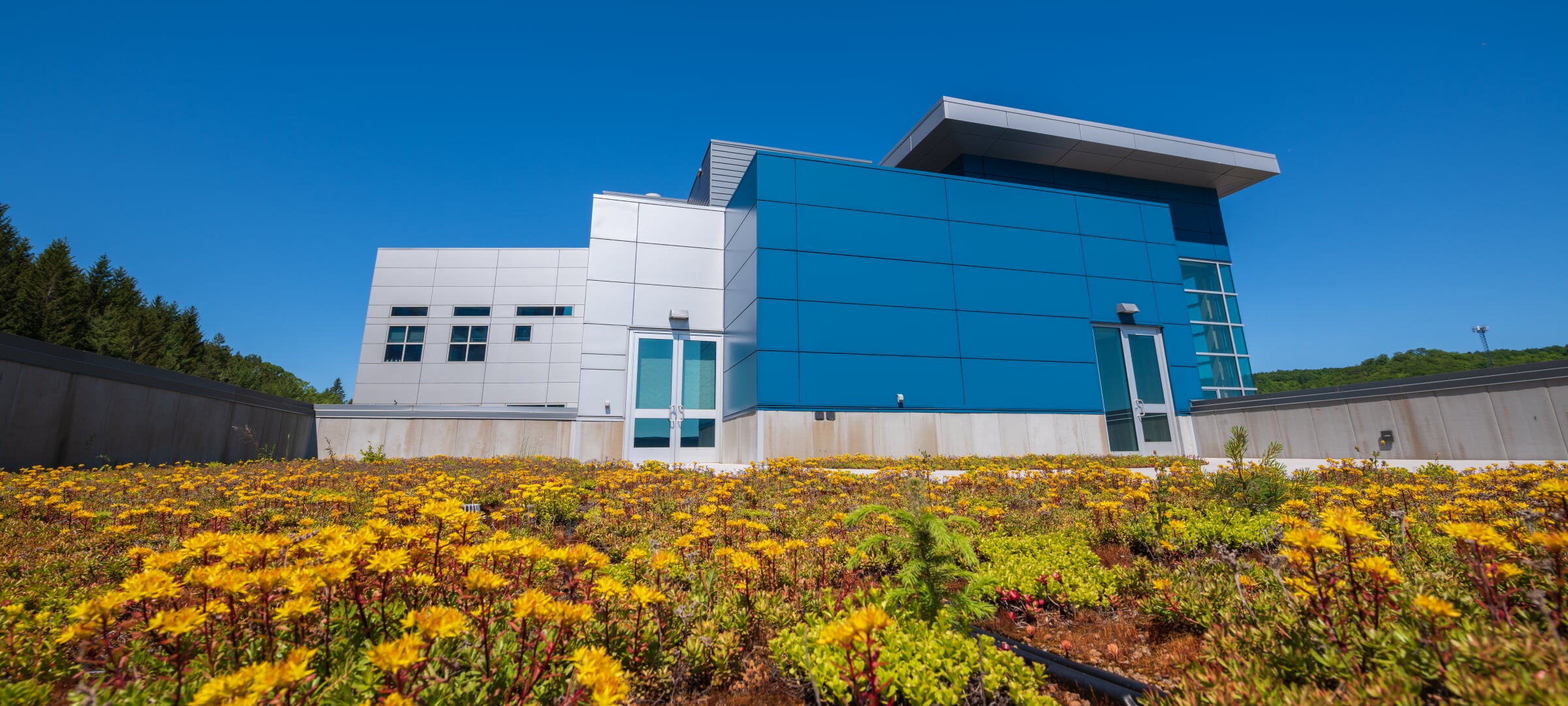 Green roof of Great Lakes Research Center Green roof of Great Lakes Research Center