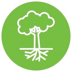 tree icon