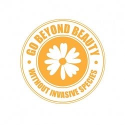Go Beyond Beauty Logo