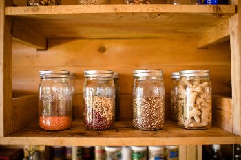 Rabbit Island Robin Explorer Dried staples are supplemented with fresh fish.