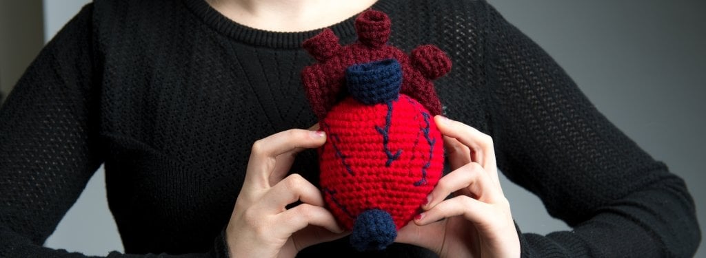 Biodegradable zinc-based stents are both mechanically strong and biocompatible, making them good candidates for treating coronary heart problems. close-up of a young woman holding a crocheted heart