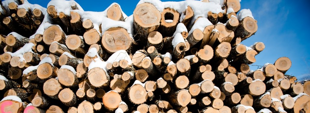 At first blush, whole-tree timber harvesting may not looks like the greenest choice, but Michigan Tech scientists have discovered that, in at least one respect, it’s no more harmful than conventional logging. Pile of cut logs with blue sky behind