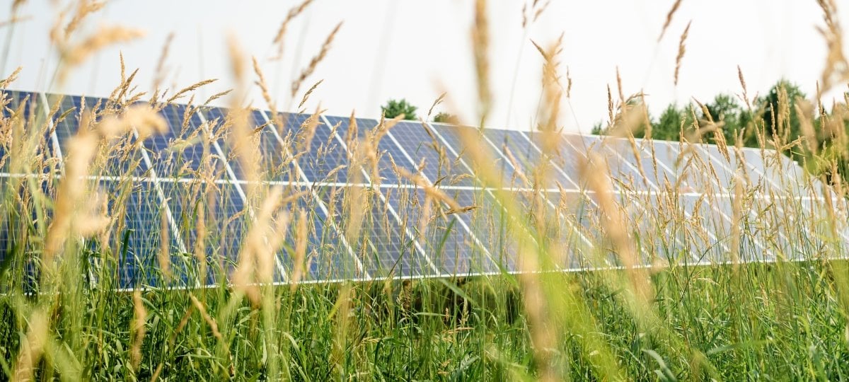 What are the social and cultural barriers that are hindering implementation of renewable energy technology? Michigan Tech researchers are working with eight communities to overcome barriers to renewable energy adoption. A solar panel in a field of grass.