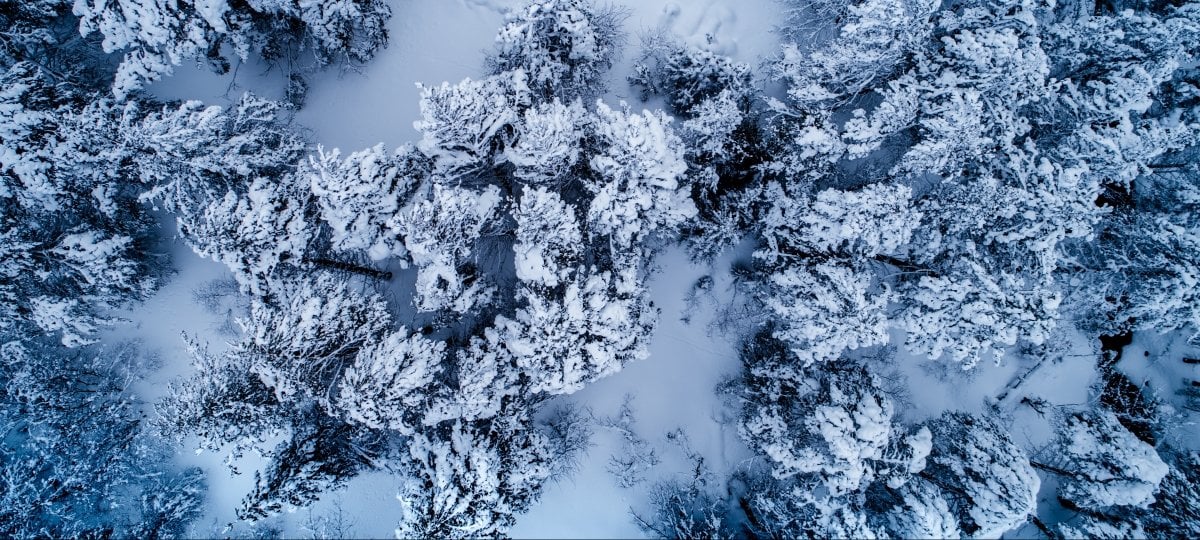 Lake effect snow piles up in hundreds of inches on the Keweenaw Peninsula. drone shot of snow-covered trees