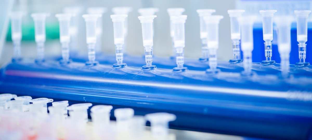 Prior to using the KingFisher, lab staff had to manually pipette samples to extract RNA, which requires dexterity, precision, concentration and that most precious of resources: time. Plastic diagnostic sample tubes neatly lined up in a holder.
