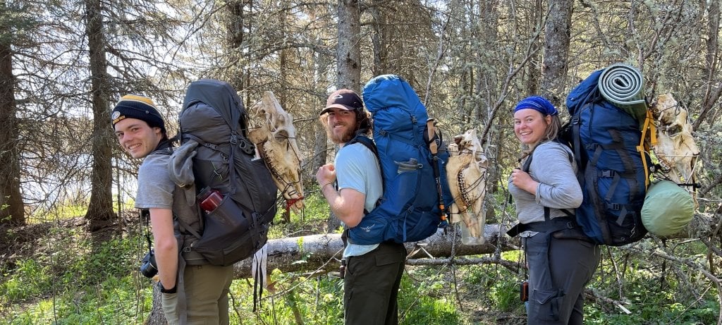 From left, Wesley McGee and Jack Schafer of Michigan Tech and research teammate Suellen "Suzie" Ronk, from Hanover College spent four weeks backpacking around Isle Royale on a research expedition to support the Wolf-Moose project. (Image credit: Sarah Hoy) Three students hold loaded backpacks and moose skulls on their backs as they conduct field research at Isle Royale National Park for Michigan Tech.