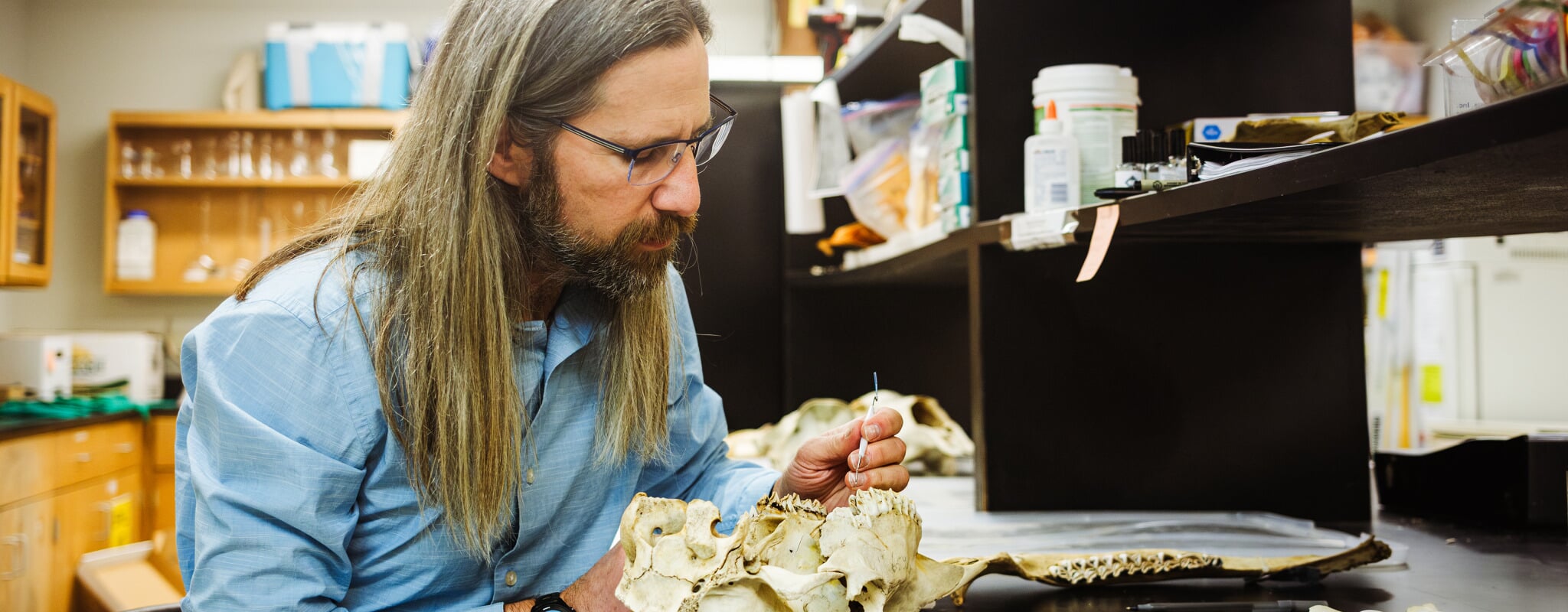 John Vucetich working in his lab