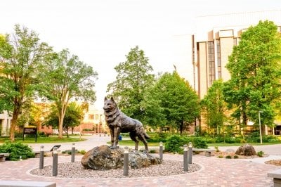 MTU husky statue