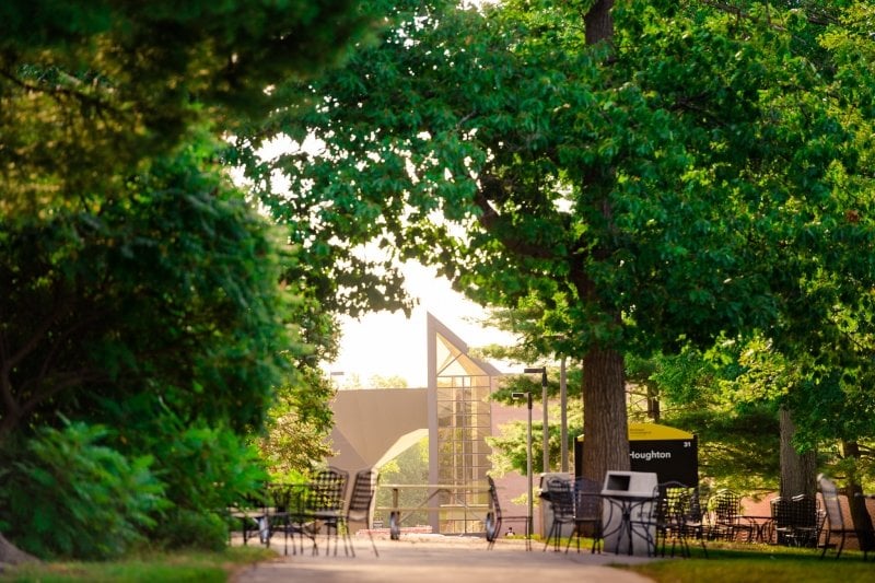 MTU campus in summer